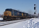 CSX 393